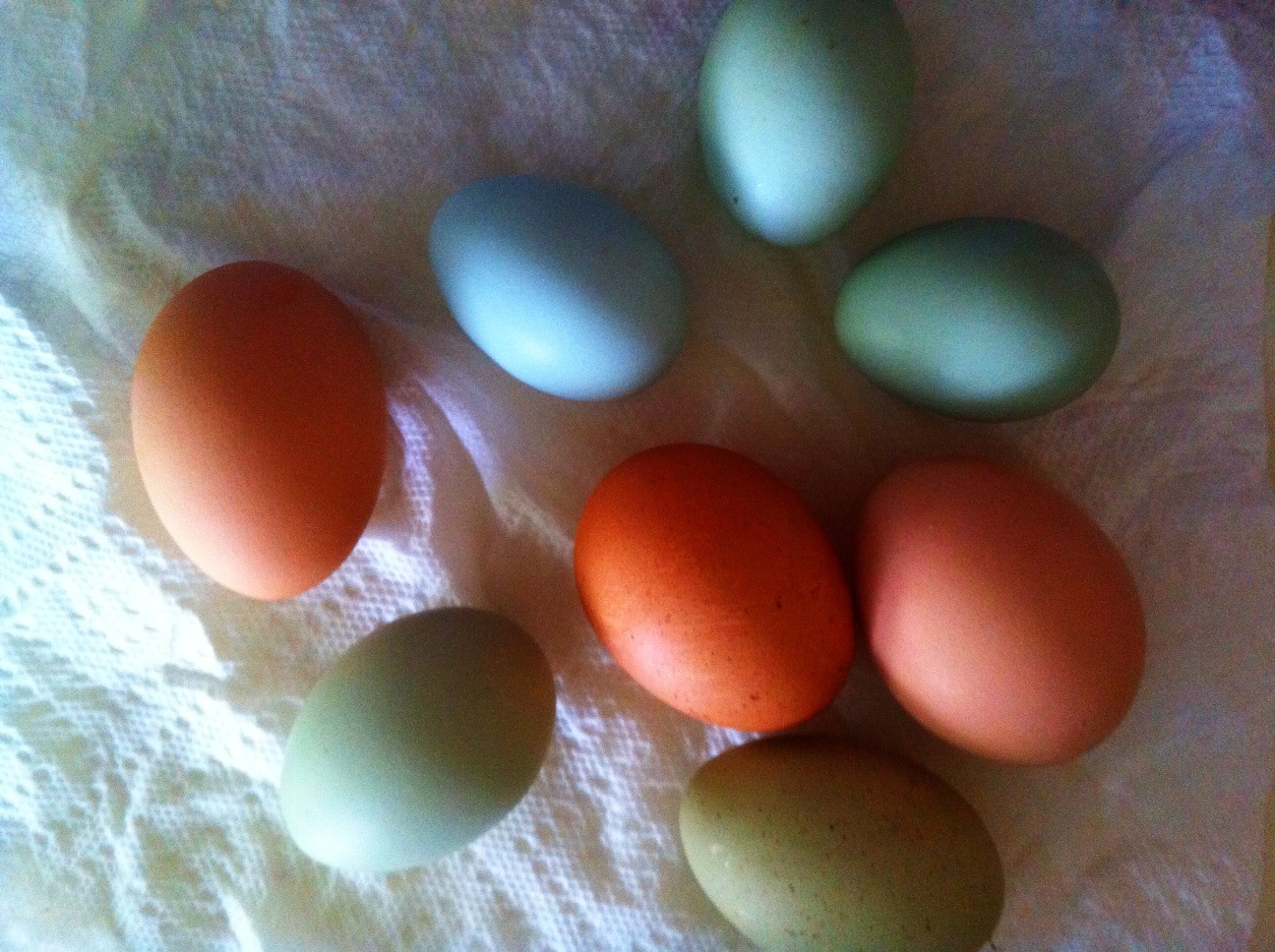 yep, those are eggs from our hens--undyed!