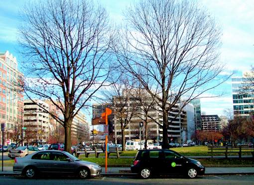 Car Sharing Laws for Everyone