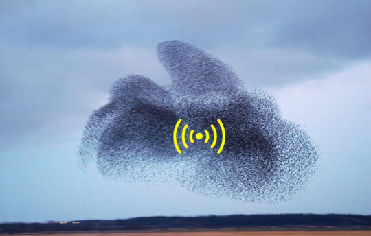 robotic-wi-fi-swarm-1.jpeg