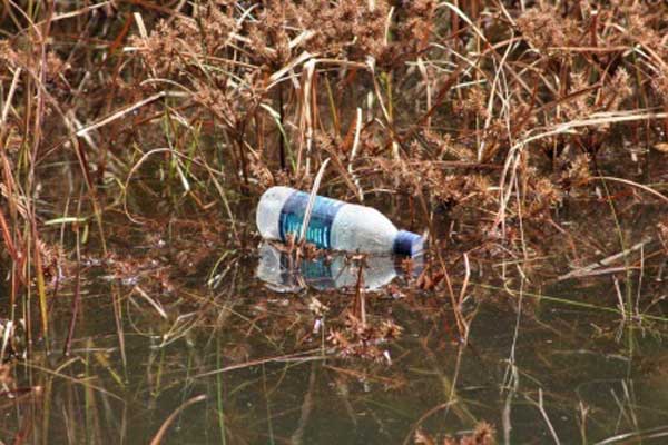 water_bottle_600x400.jpg