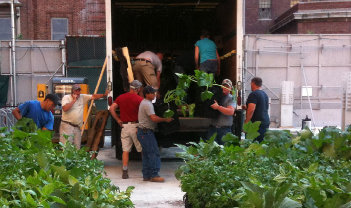 riverpark-pop-up-farm-manhattan.jpg