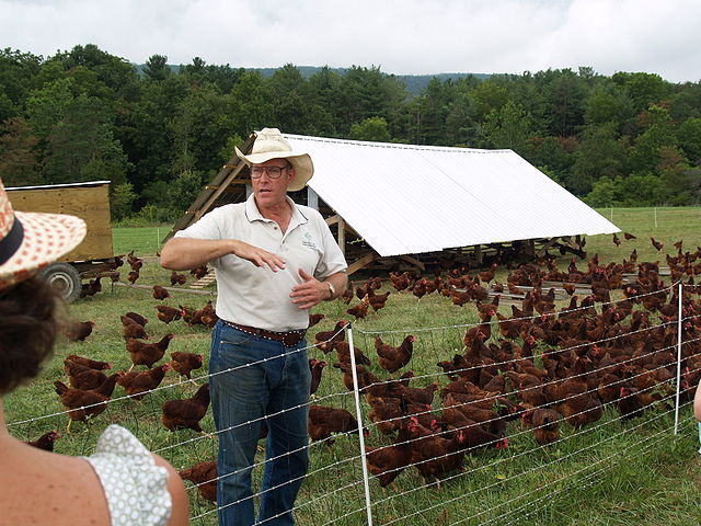 640px-joel_salatin_in_front_of_hens.jpg