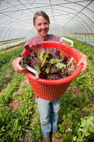 Cooperative-friendly legislation in the United States helps farmers like Amy Hicks thrive. Photo by USDA on Flickr.