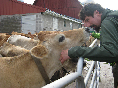 Holm Girls Dairy in Wisconsin is part of the CROPP co-op. Photo by ryan griffis on Flickr.