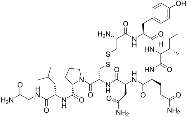 640px-oxytocin.png