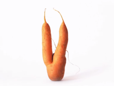 UglyCarrot.png