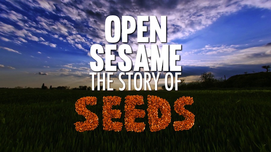 OpenSesameFilm.jpg