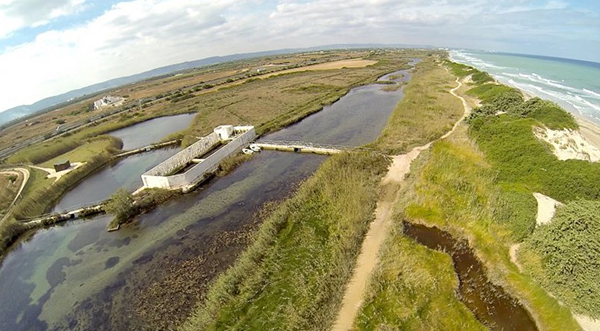 Dune_Costiere_Park (20).jpg