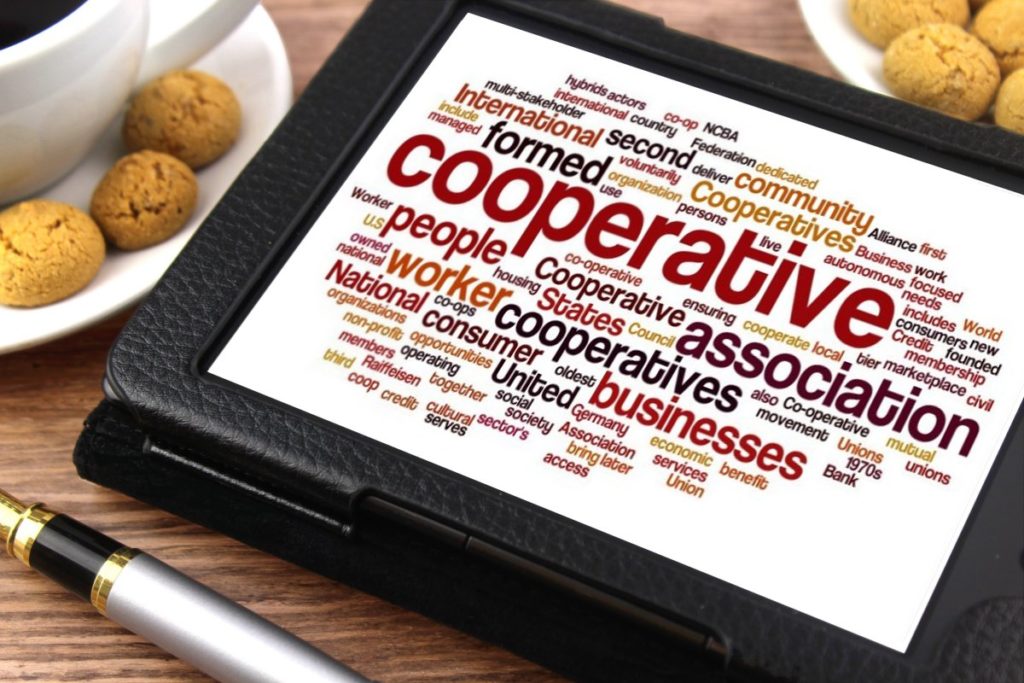 Not Alone Cooperative and Trade Union Solutions for Freelancers