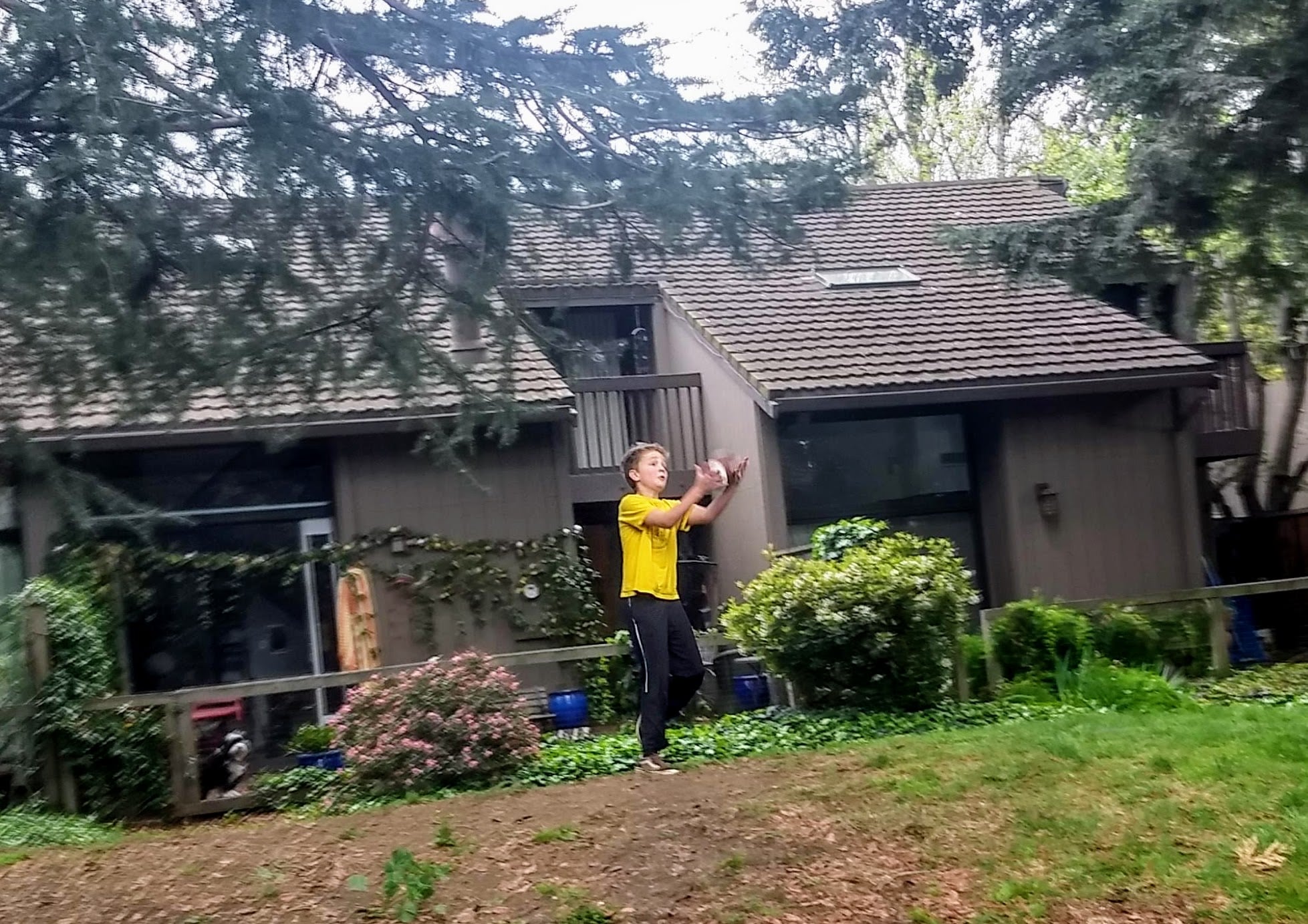 Things got a whole lot more local than I expected due to coronavirus