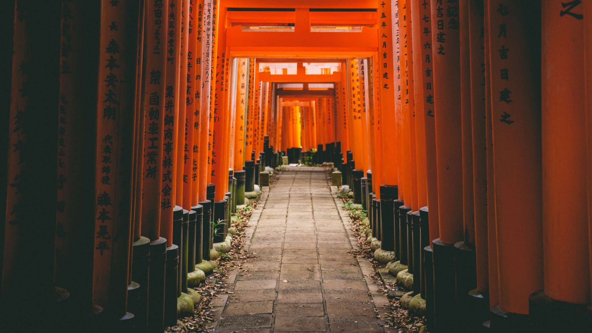 The pandemic isn't a portal, yet | Torii gates at the Fushimi Inari-taisha shrine in Kyoto, Japan. Torii gates mark the entrance to the sacred from the profane. Credit: wallpaperflare.com