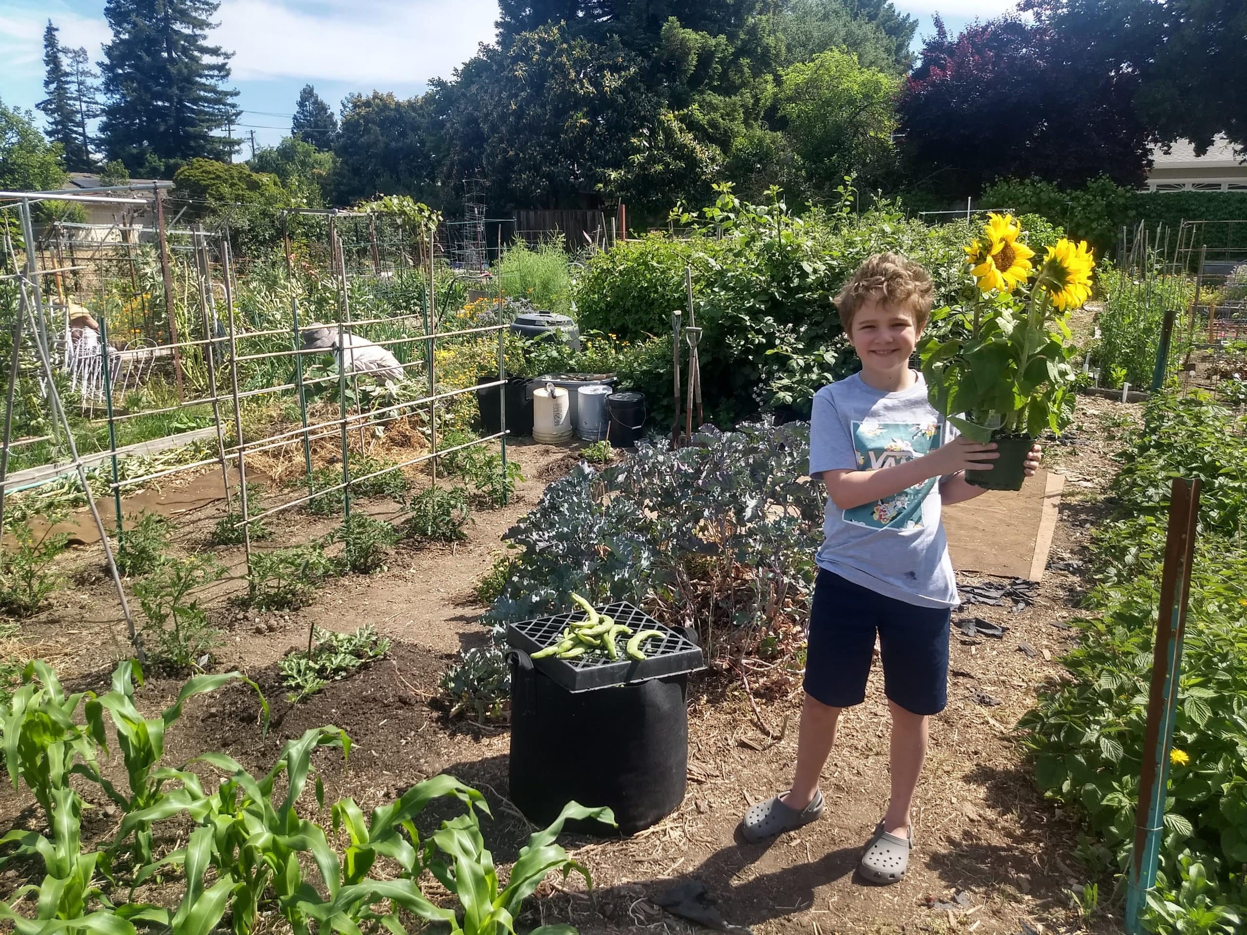 Finding my #LocalYear rhythm