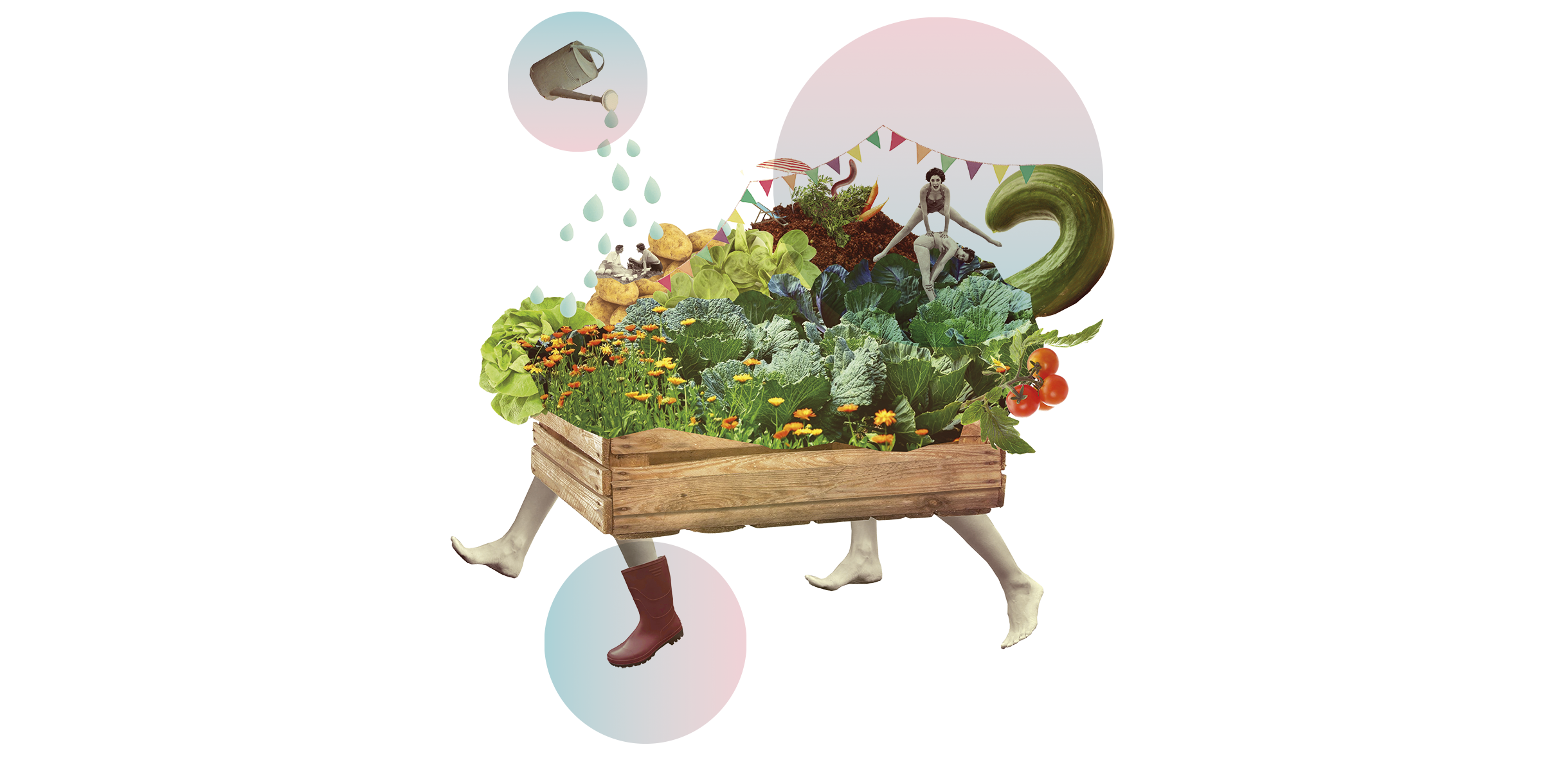 Düsselgrün: An urban commons in the heart of Düsseldorf