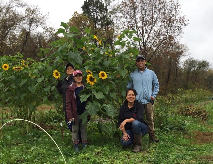Hispanic member owner families of Tierra Fertil Coop