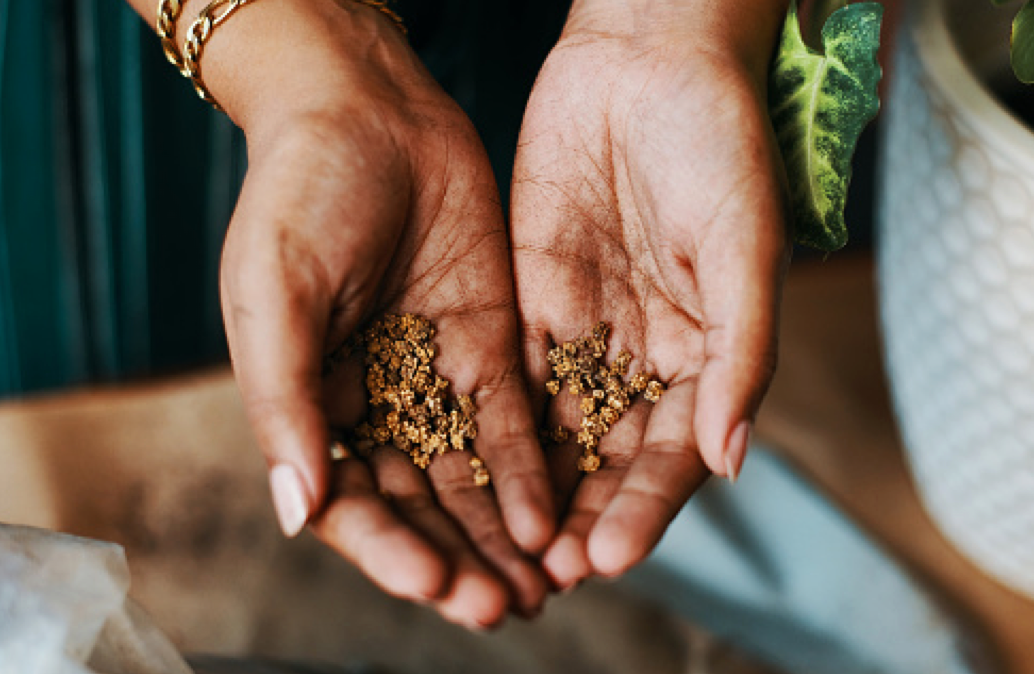 How to launch your own seed lending library