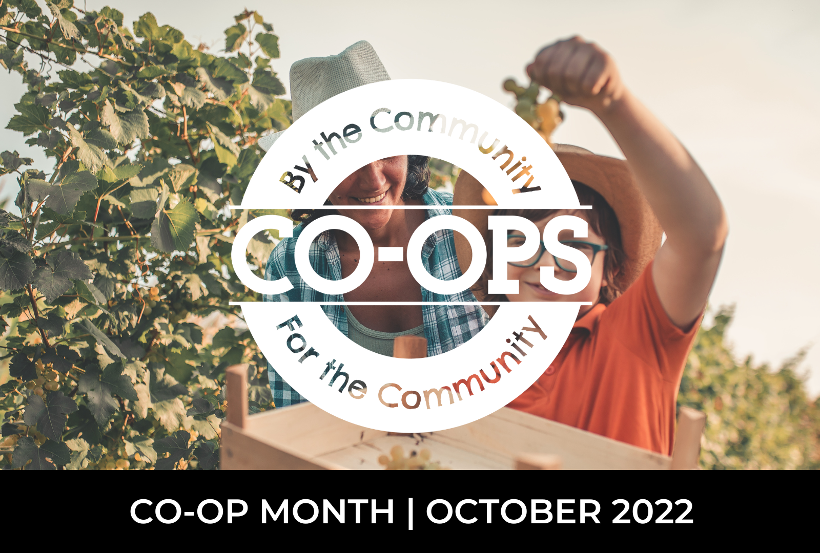 Co-op Month