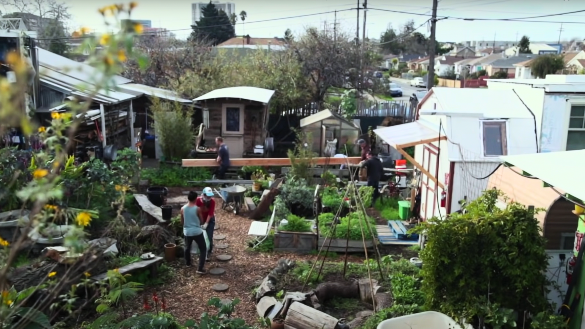 Still from the response film in Puerto Rico