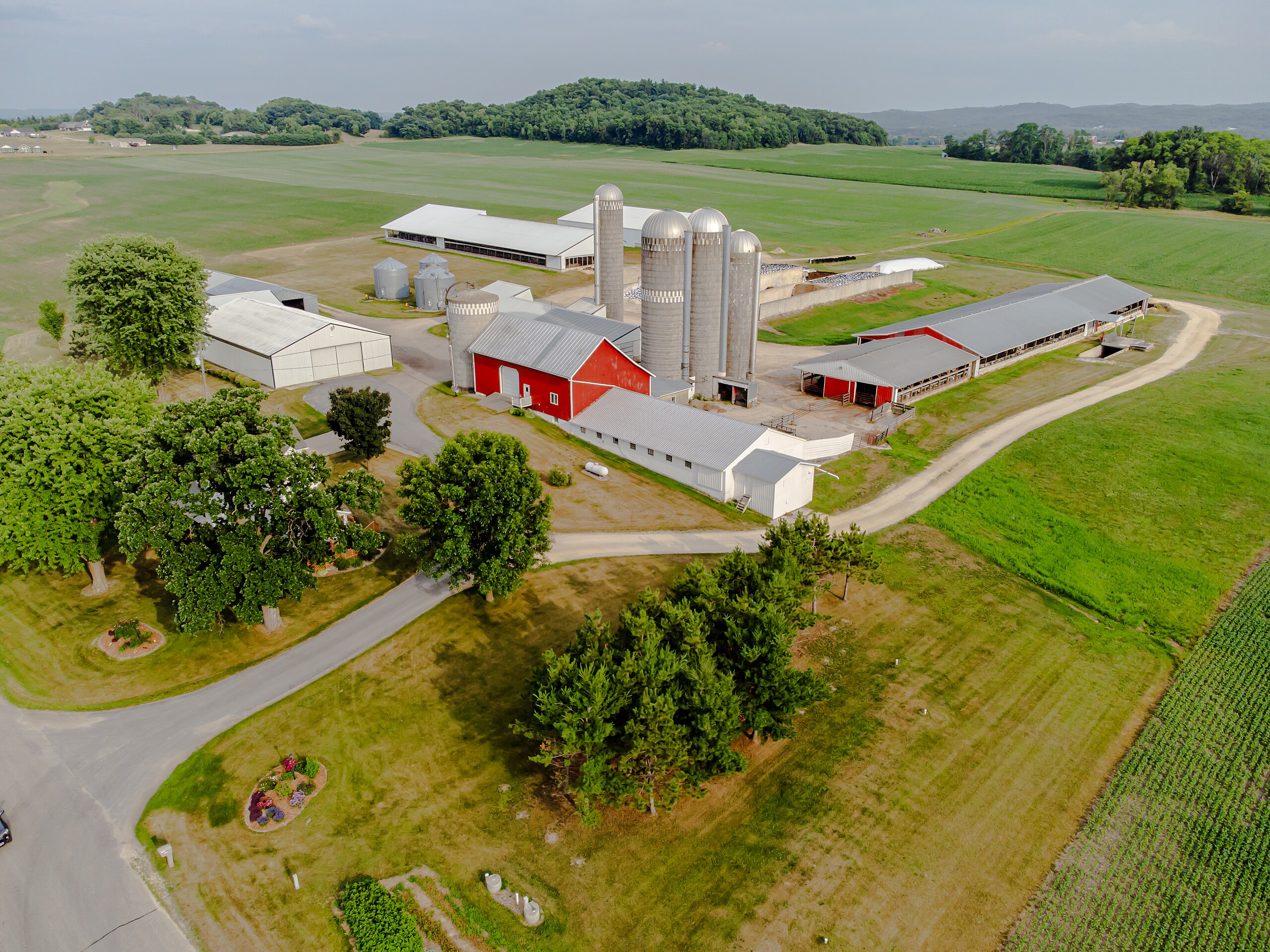 dairy farm in wisconsin