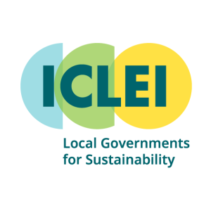 ICLEI Avatar