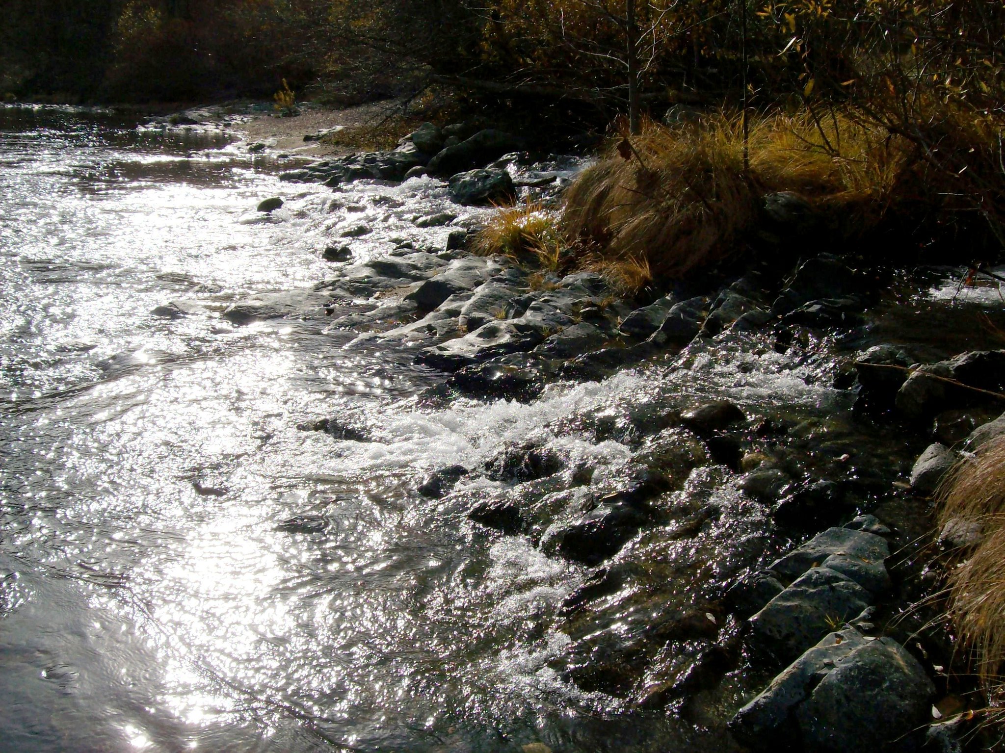 A glistening creek in California