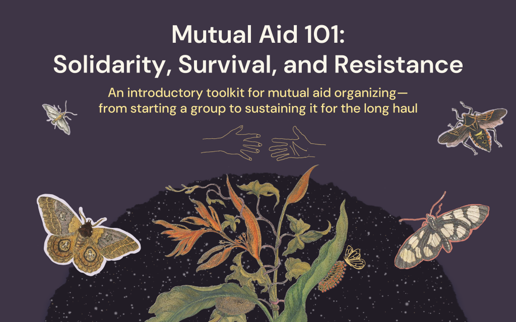 Introducing Shareable S New Toolkit Mutual Aid 101 Solidarity