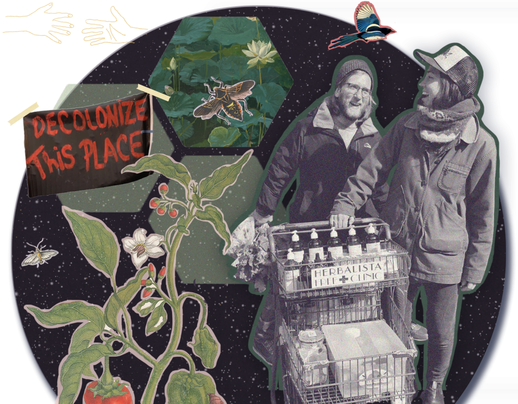 Mutual Aid 101 Shareable