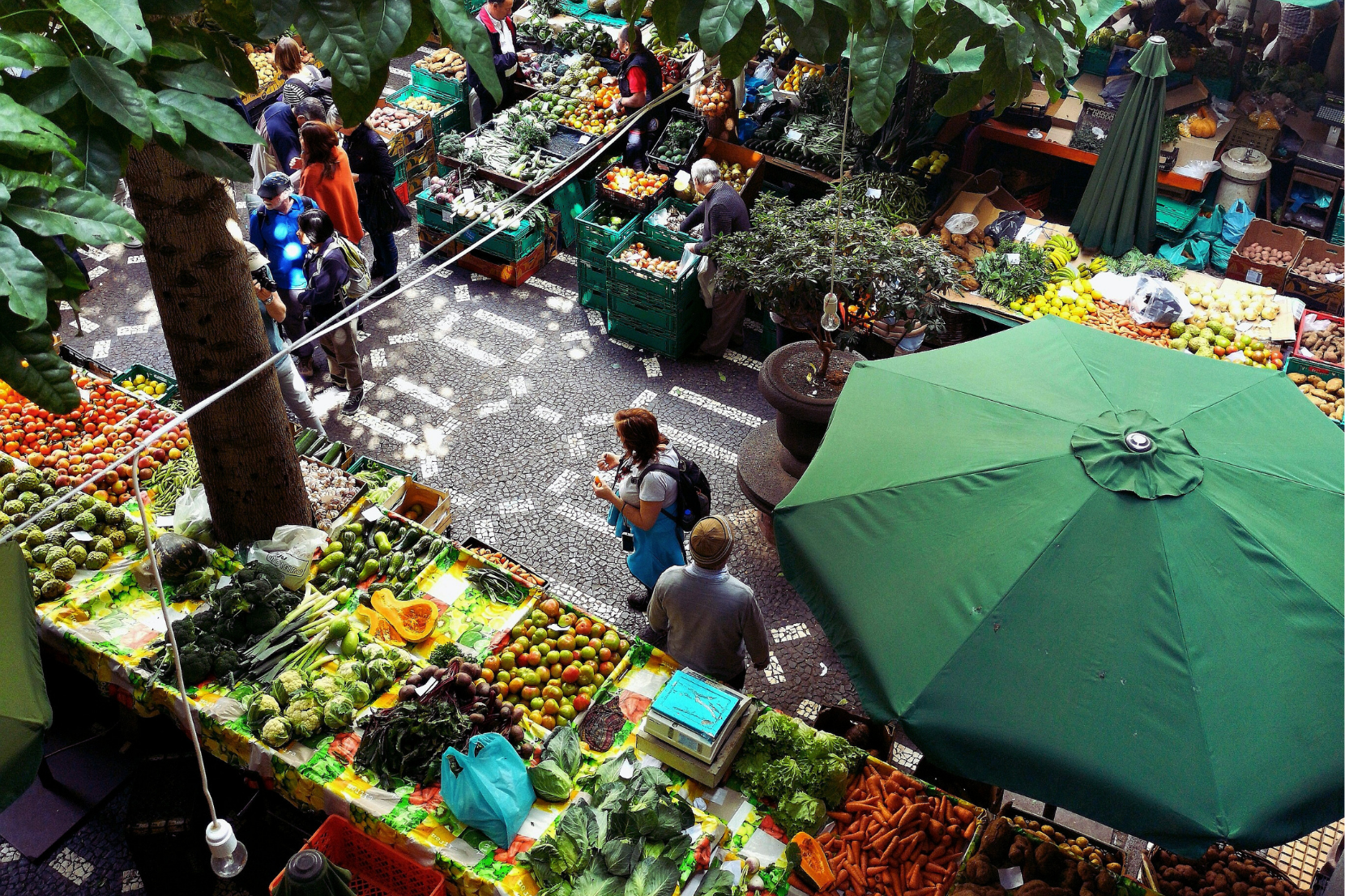 people standing near patio umbrella surrounded with fruits and vegetable stalls